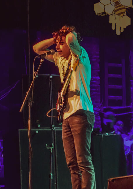 Nick - Bears In Trees